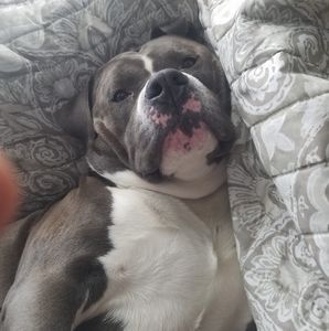 Meet your Posher, Daylynd